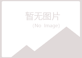 盐池县易烟能源有限公司